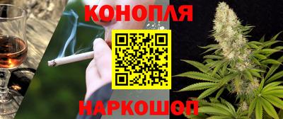 гидра Рязань