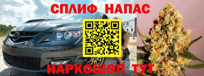 гидра Рязань