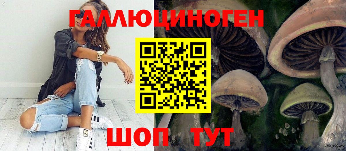 Прохладный  Галлюциногенные грибы ЛСД  Псилоцибиновые грибы мицелий  Вход с VPN 